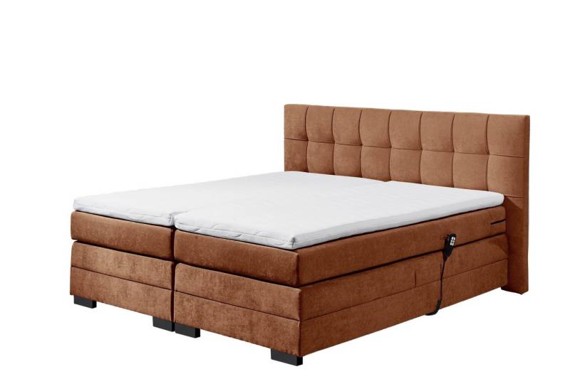freiraum Boxspringbett TALENA, Liegefläche 180x200, Motorverstellung, cognac - 202x113x211cm (BxHxT) von freiraum
