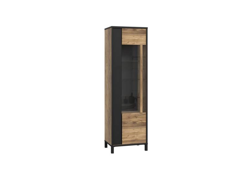 freiraum Vitrine HAYATO 5 Böden, 1 Tür, Alpenfichte Dekor / Schwarz - 59,8x194x42cm (BxHxT) von freiraum