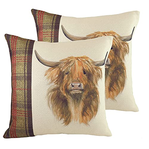 Evans Lichfield Hunter Highland Cow Twin Pack Feder Gefüllte Kissen, Polyester, Multi, 43 x 43cm, 2 von furn.