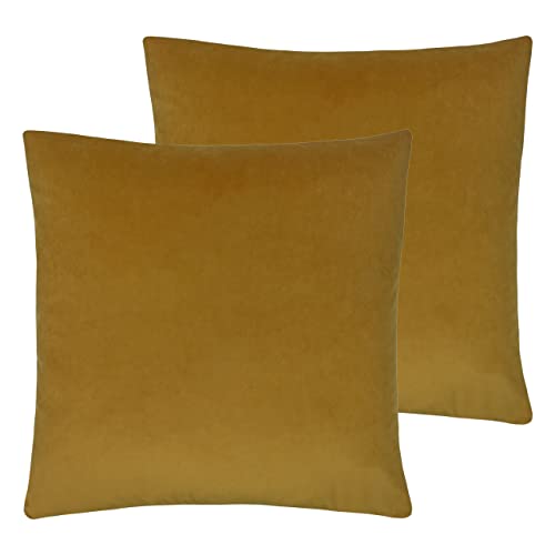 Evans Lichfield Sunningdale Feder gefüllte Kissen (Twin Pack), Polyester, Saffron, 50 x 50cm, 2 von furn.