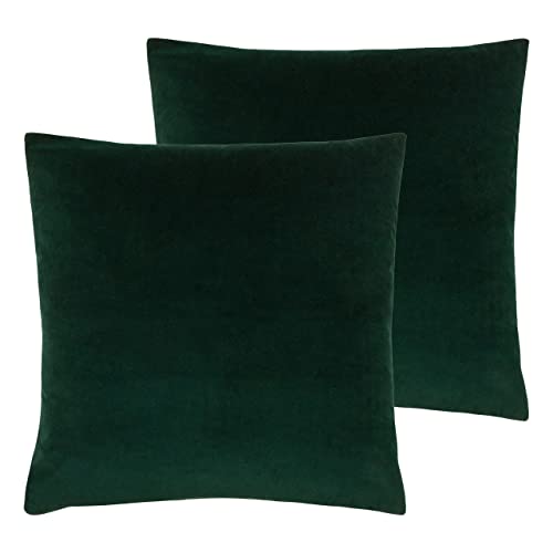 Paoletti Sunningdale Feder gefüllte Kissen (Twin Pack), Polyester, Bottle, 50 x 50cm, 2 von furn.