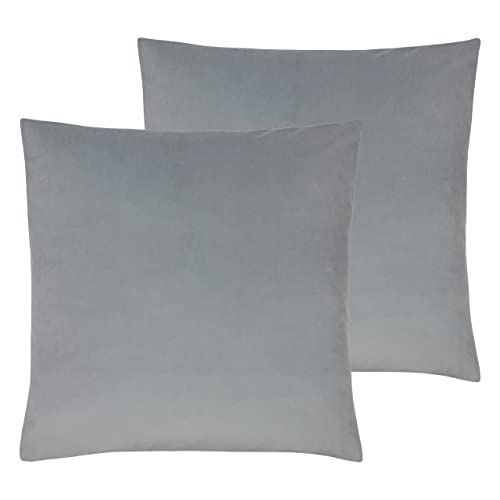 Paoletti Sunningdale Feder gefüllte Kissen (Twin Pack), Polyester, Platinum, 50 x 50cm, 2 von furn.