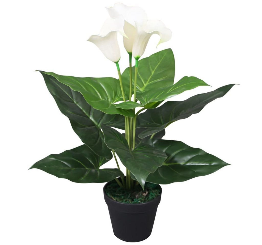 Kunstpflanze Künstliche Calla-Lilie mit Topf 45 cm Weiß, furnicato, Höhe 45 cm von furnicato