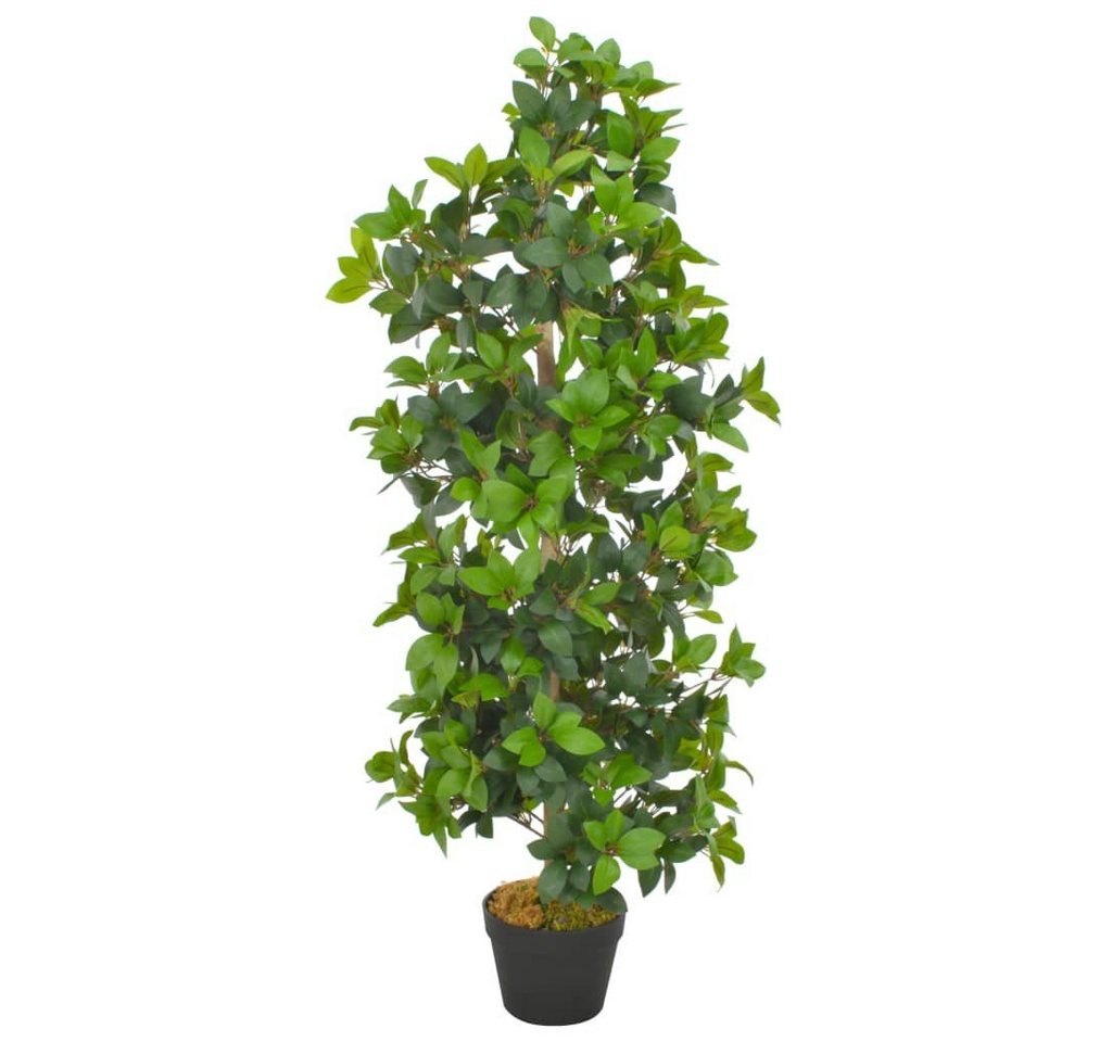 Kunstpflanze Künstliche Pflanze Lorbeerbaum mit Topf Grün 120 cm, furnicato, Höhe 120 cm von furnicato