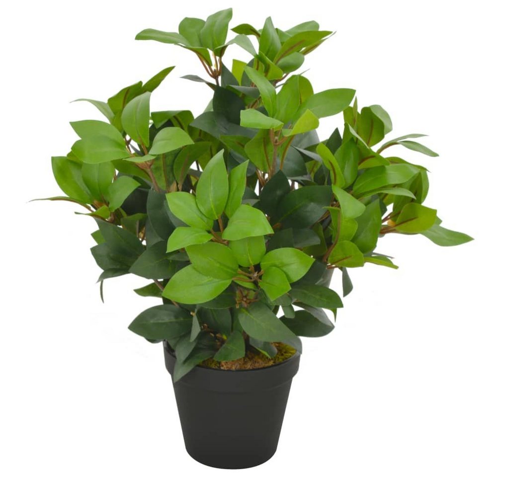 Kunstpflanze Künstliche Pflanze Lorbeerbaum mit Topf Grün 40 cm, furnicato, Höhe 110 cm von furnicato