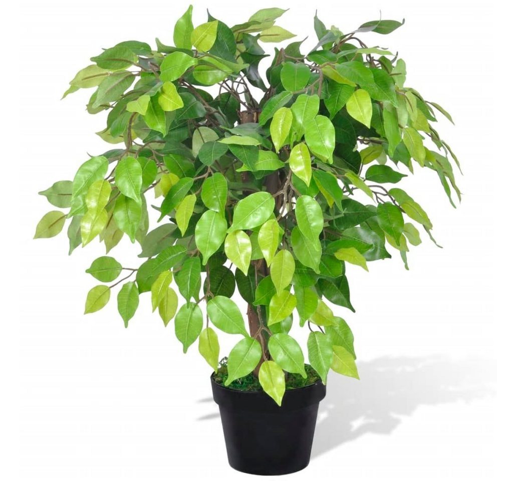 Kunstpflanze Künstlicher Zwerg-Ficus mit Topf 60 cm, furnicato, Höhe 60 cm von furnicato