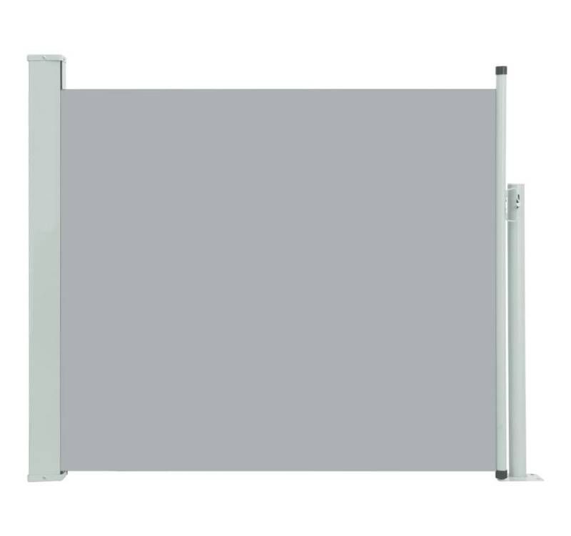 furnicato Markise Ausziehbare Seitenmarkise 100x300 cm Grau (1-St) von furnicato