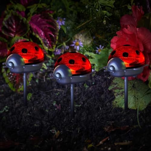 Garden Mile LED-Marienkäfer oder Biene mit Solarbetrieb, Dreierpack, Erdspießleuchte, Marienkäfer oder Biene, Gartenbeleuchtung, Außenweg, Auffahrt, Feengarten-Dekoration (Marienkäfer, Dreierpack) von garden mile