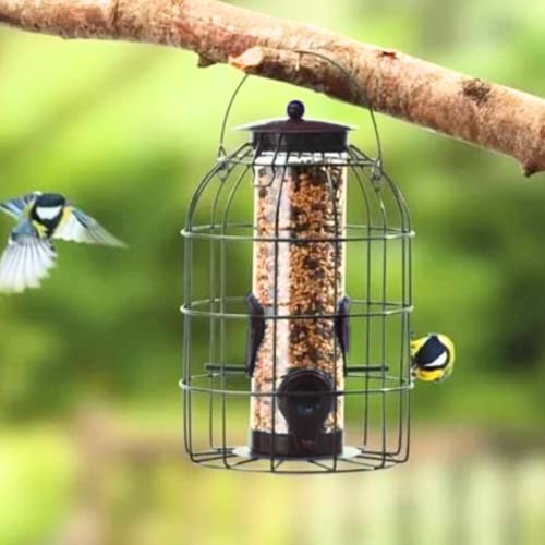 Garden Mile Wildvogel-Futterspender für Samen, zum Aufhängen an Bäumen, Terrassen oder Vogelfutterstationen in Ihrem Garten im Freien von garden mile