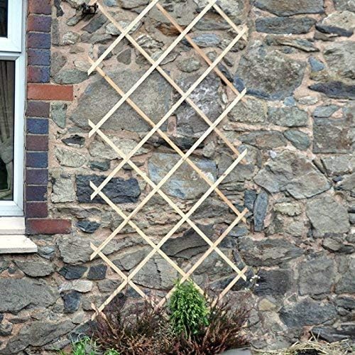 Garden Mile 1ft, 2ft, 3ft x 6ft Erweiterung Holz Garten Spalier Robust Kletterpflanze & Gemüse Natürliche Unterstützung Holz Garten Gitter Spalier - 6ft x 3ft von garden mile