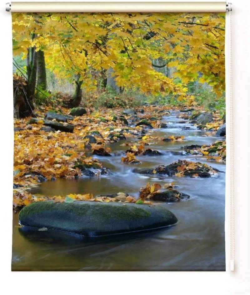 Rollo Rollo Herbstfluss Sormitz - zum klemmen oder schrauben, gardinen-for-life von gardinen-for-life