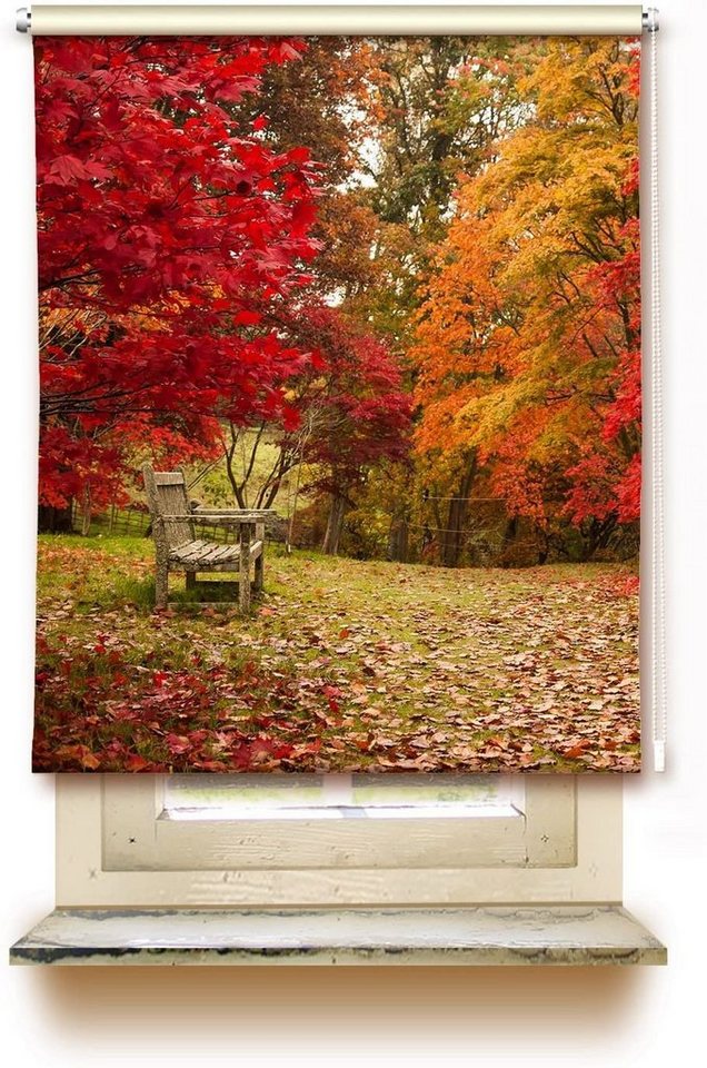 Rollo Rollo Herbstlichtung - zum klemmen oder schrauben, gardinen-for-life von gardinen-for-life