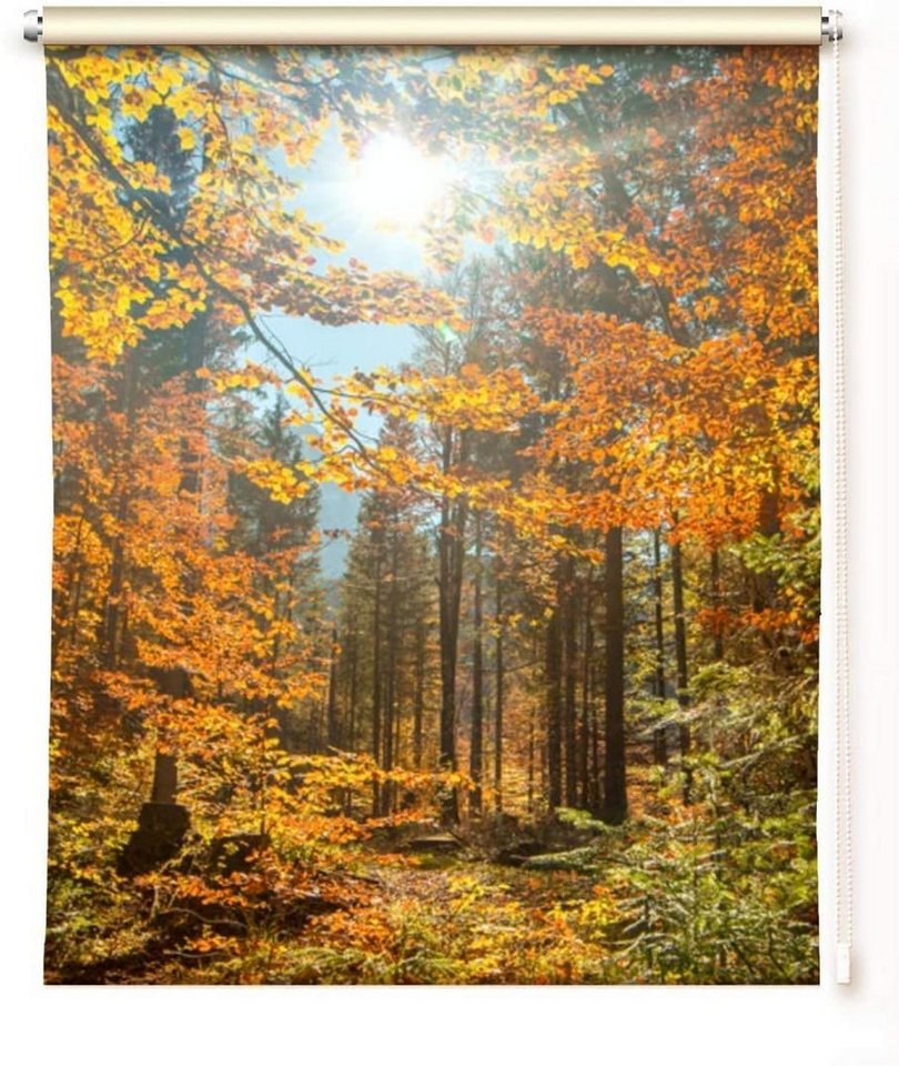 Rollo Rollo Herbstsonne - Toller Herbstrollo - klemmen oder schrauben, gardinen-for-life von gardinen-for-life