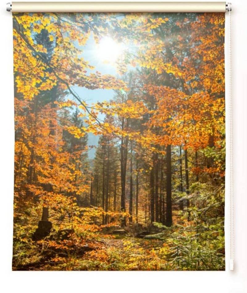 Rollo Rollo Herbstsonne - Toller Herbstrollo - klemmen oder schrauben, gardinen-for-life von gardinen-for-life