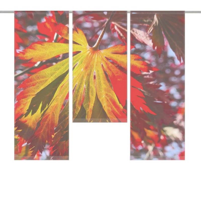 gardinen-for-life Scheibengardine Das rote Blatt Scheibengardine 3-tlg. 80/60x30cm (hxb) - B-line von gardinen-for-life
