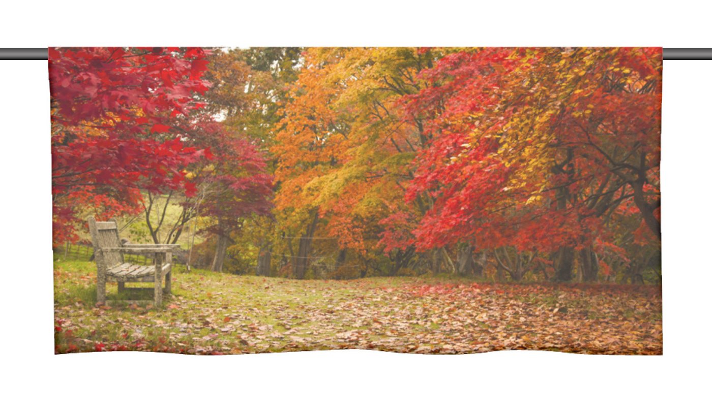 Scheibengardine Herbstlichtung - Cafehausgardine 25 cm hoch - mit tollem Motiv, gardinen-for-life von gardinen-for-life