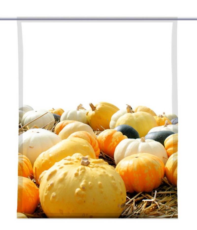 gardinen-for-life Scheibengardine Scheibenhänger Kürbiszeit - rechteckig mit Beschwerung gardinen-for-life Scheibengardine Scheibenhänger Kürbiszeit - rechteckig mit Beschwerung von gardinen-for-life