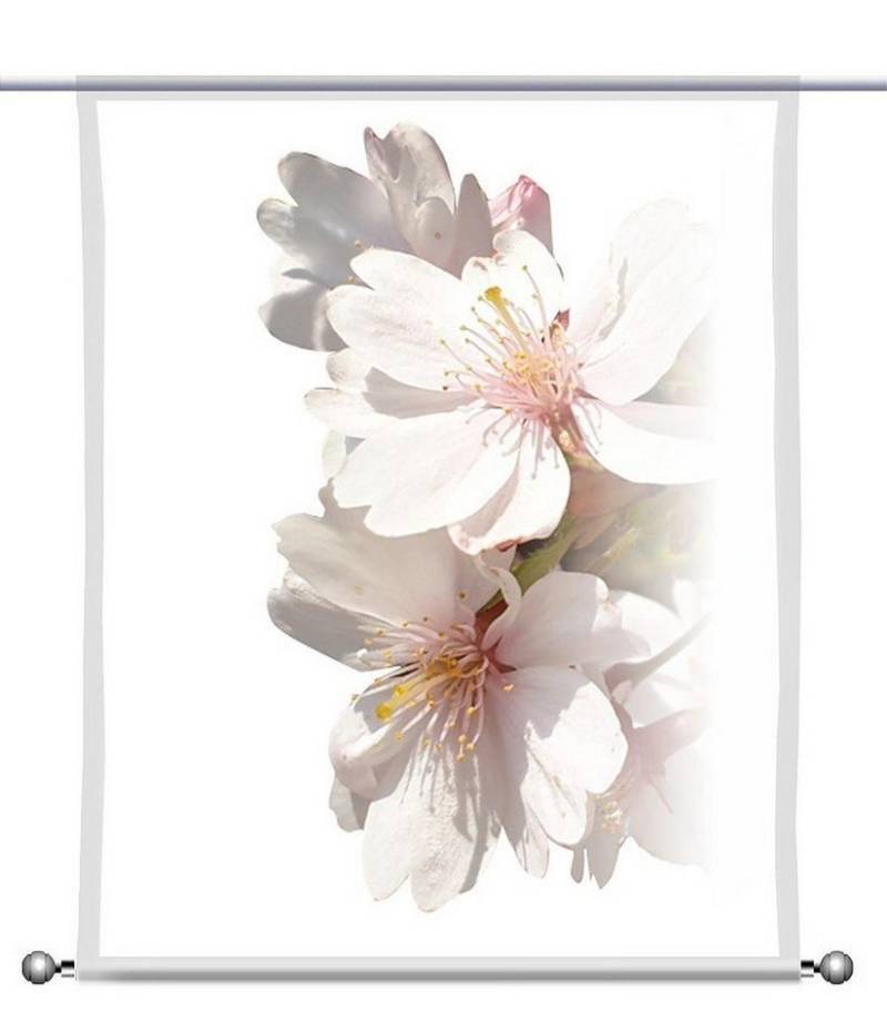 gardinen-for-life Scheibengardine Scheibenhänger Mandeltraum - rechteckig mit Beschwerung, transparent von gardinen-for-life