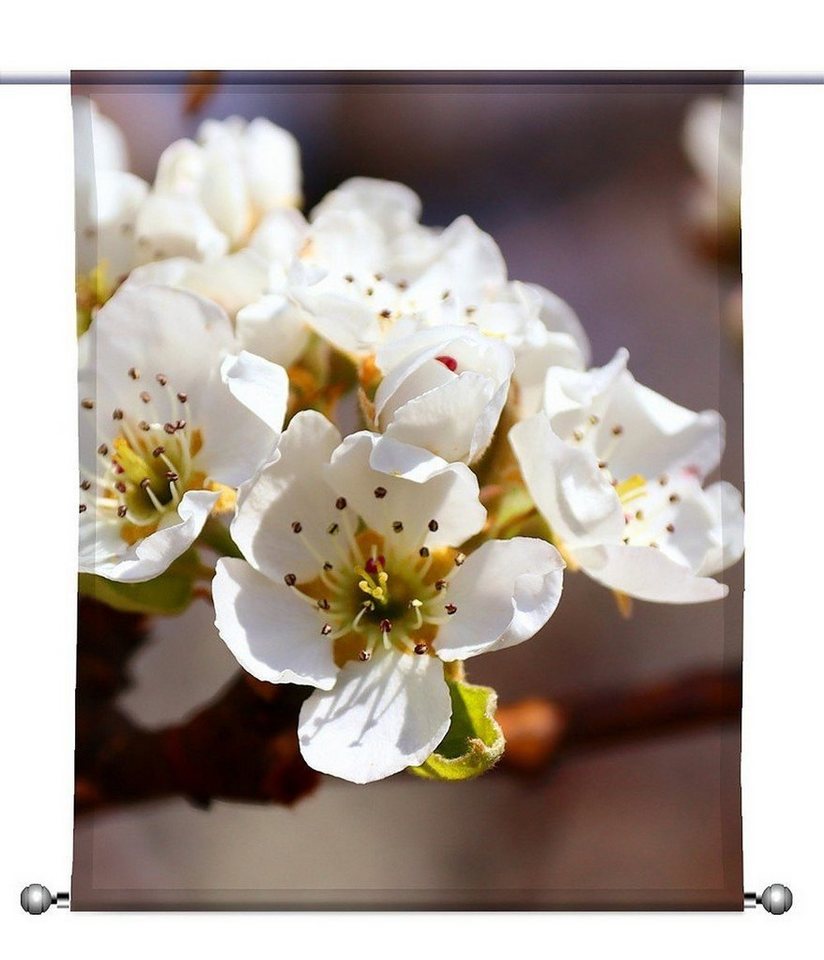 gardinen-for-life Scheibengardine Scheibenhänger Primavera weiß transparente Gardine von gardinen-for-life