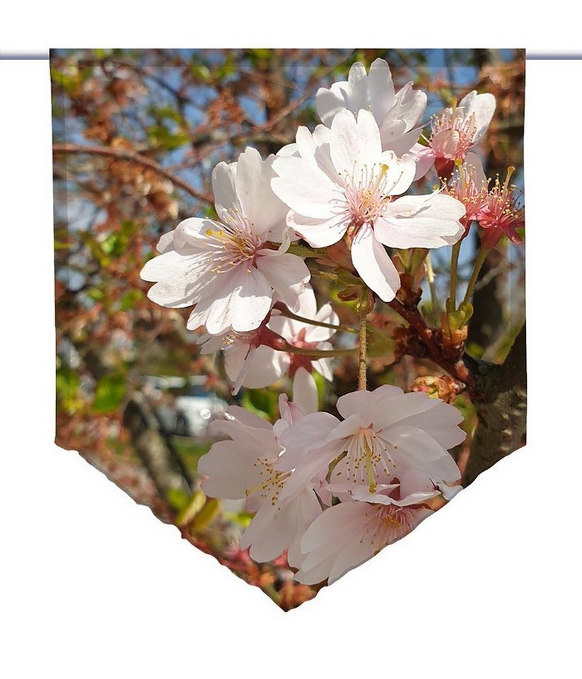 Scheibengardine Scheibenhänger spitz Blütenpracht, Voile Transparent, Edel, gardinen-for-life von gardinen-for-life
