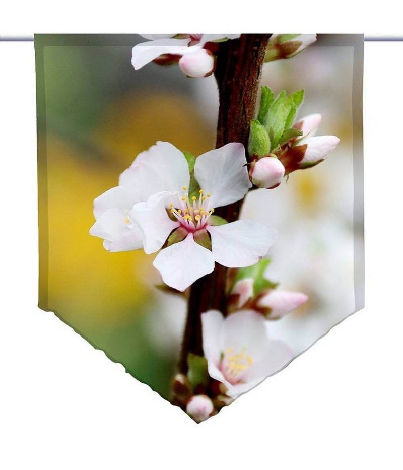 gardinen-for-life Scheibengardine Scheibenhänger spitz Frühlingsromantik, Voile Transparent von gardinen-for-life