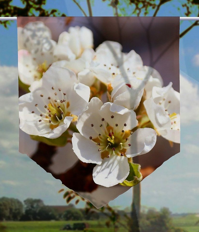 gardinen-for-life Scheibengardine Scheibenhänger spitz Primavera weiß, Voile Transparent, Ostermotiv von gardinen-for-life