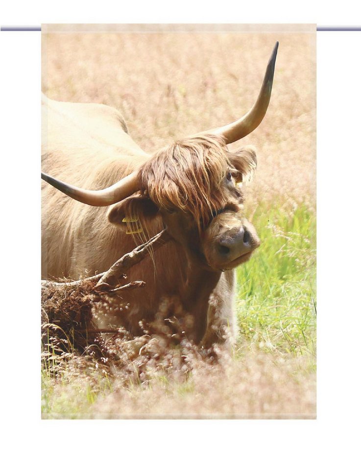 gardinen-for-life Scheibengardine Scottish highland cattle - eckiger Scheibenhänger - B-line von gardinen-for-life