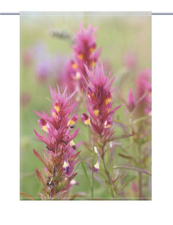 gardinen-for-life Scheibengardine Wachtelweizen - eckiger Scheibenhänger - B-line von gardinen-for-life