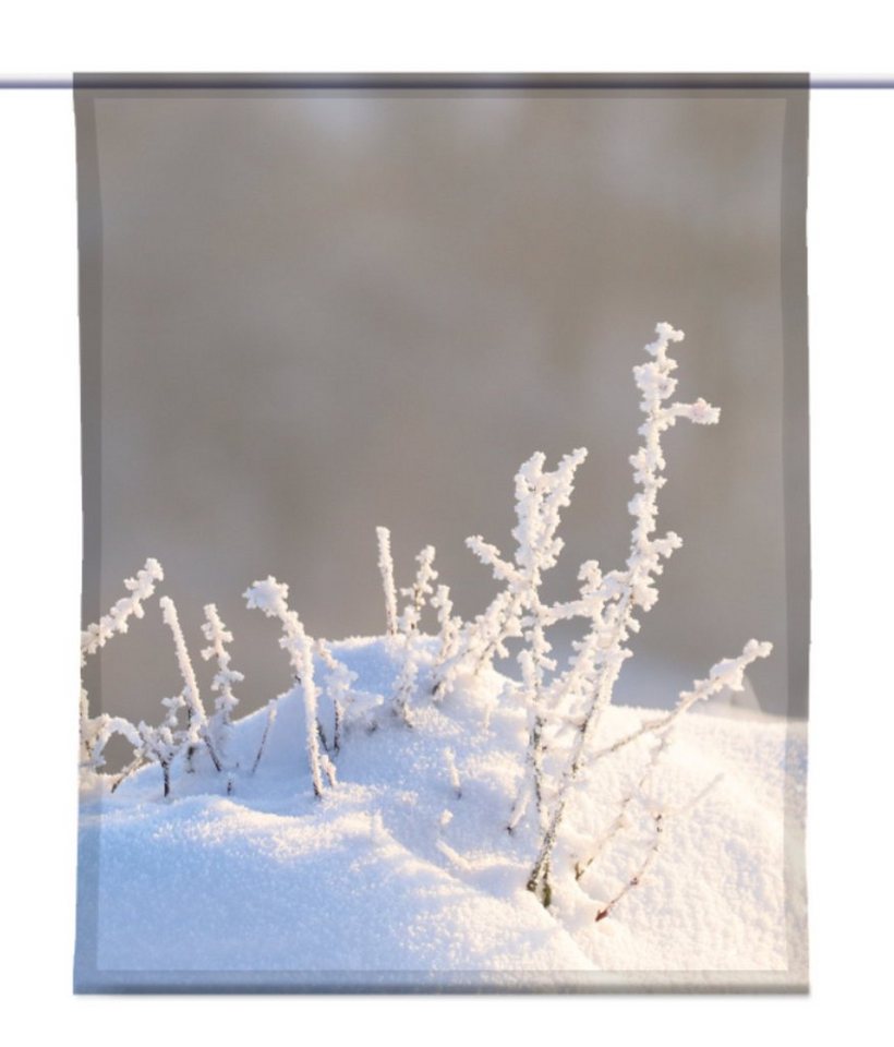 gardinen-for-life Scheibengardine Wintergras Scheibenhänger eckig - B-line von gardinen-for-life