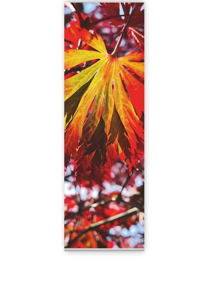 Schiebegardine Das rote Blatt Flächenvorhang 180 cm hoch HxB 180x60 cm - B-line, gardinen-for-life von gardinen-for-life