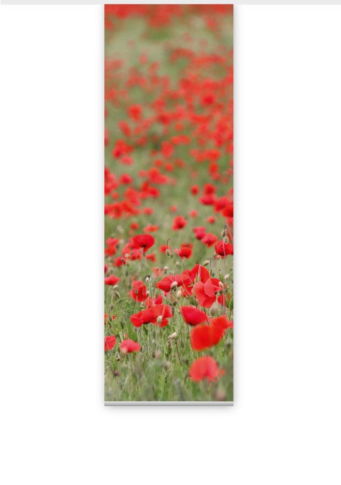 gardinen-for-life Schiebegardine Mohnzauber 180 cm hoch HxB 180x60 cm- B-line gardinen-for-life Schiebegardine Mohnzauber 180 cm hoch HxB 180x60 cm- B-line von gardinen-for-life