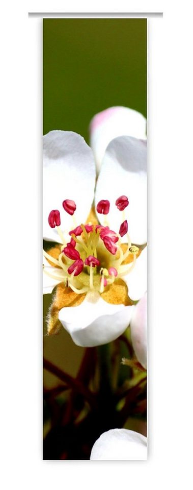 gardinen-for-life Vorhang red spring - Flächenvorhang - Druck-Motiv von gardinen-for-life