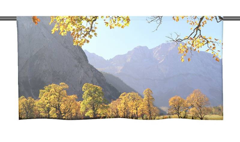 gardinen-for-life Scheibengardine Golden indian Summer Cafehausgardine 25 cm hoch - mit tollem Motiv von gardinen-for-life