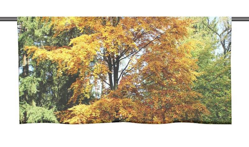 gardinen-for-life Scheibengardine Heideglück Cafehausgardine 25 cm hoch - mit tollem Motiv von gardinen-for-life