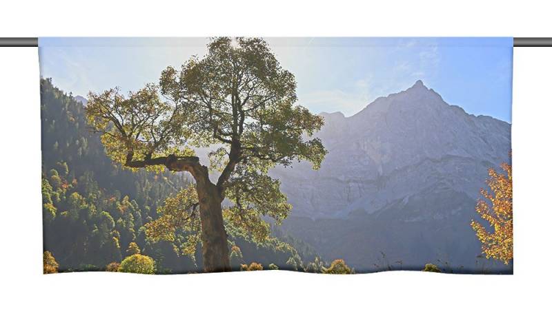 gardinen-for-life Scheibengardine Herbstsonnenmomente Cafehausgardine 25 cm hoch - mit tollem Motiv von gardinen-for-life