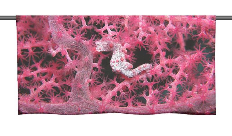 gardinen-for-life Scheibengardine Meermomente Cafehausgardine 25 cm hoch - mit tollem Motiv von gardinen-for-life