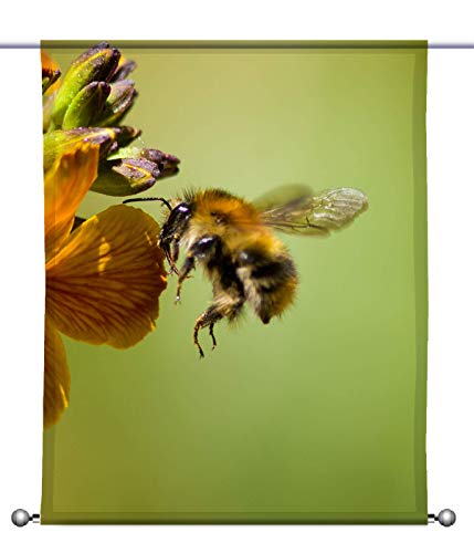 gardinen-for-life Scheibenhänger Bee - rechteckig mit Beschwerung, Toller Scheibenhänger transparent, verschiedenen Größen, Naturmotiv (HxB 100x60cm) von gardinen-for-life