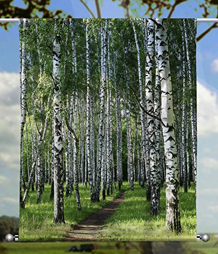 gardinen-for-life Scheibenhänger Birkenwaldweg Transparent rechteckig mit Beschwerung, Toller Scheibenhänger aus Feiner Voile, Verschiedenen Größen (HxB 100x90cm) von gardinen-for-life