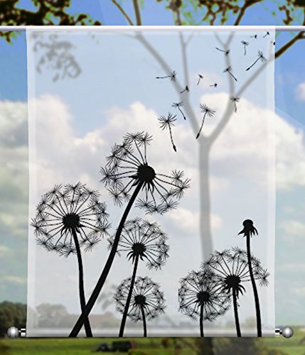 gardinen-for-life Scheibenhänger Dandelions Transparent rechteckig mit Beschwerung, Toller Scheibenhänger aus Feiner Voile, Verschiedenen Größen (HxB 125x90cm) von gardinen-for-life