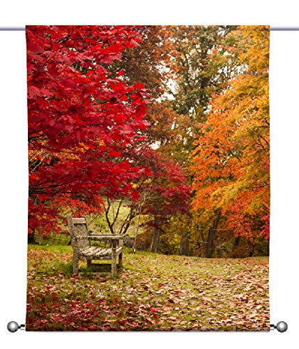 gardinen-for-life Scheibenhänger Herbstlichtung Transparent rechteckig mit Beschwerung, Toller Scheibenhänger aus Feiner Voile, Verschiedenen Größen (HxB 125x90cm) von gardinen-for-life