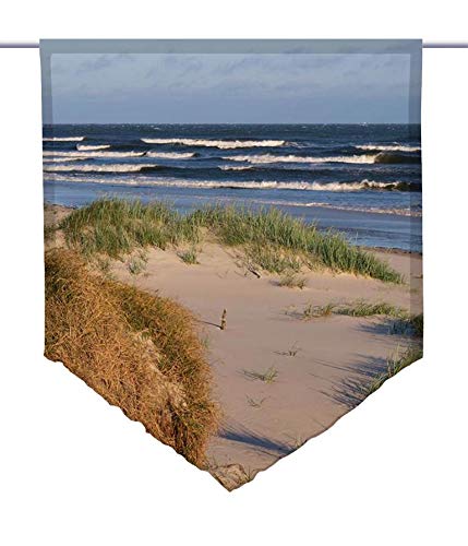 gardinen-for-life Scheibenhänger Sanddyner Voile Transparent, Edler Scheibenhänger aus Feiner Voile in Verschiedenen Größen (HxB 75x60cm) von gardinen-for-life