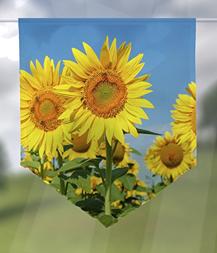 gardinen-for-life Scheibenhänger Sonnenblumen Voile Transparent, Edler Scheibenhänger aus Feiner Voile in Verschiedenen Größen (HxB 75x60cm) von gardinen-for-life