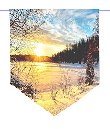 gardinen-for-life Scheibenhänger Wintersonne Voile Transparent, Edler Scheibenhänger aus Feiner Voile in Verschiedenen Größen (HxB 75x60cm) von gardinen-for-life