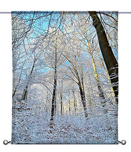 gardinen-for-life Scheibenhänger Winterstimmung - rechteckig mit Beschwerung, Toller Scheibenhänger transparent, verschiedenen Größen, Herbstwald (HxB 125x90cm) von gardinen-for-life