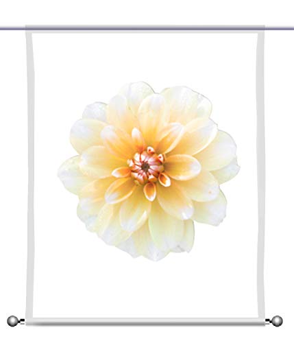 gardinen-for-life Scheibenhänger kollane Lill - rechteckig mit Beschwerung, Toller Scheibenhänger transparent, verschiedenen Größen, Blumenmotiv (HxB 125x90cm) von gardinen-for-life