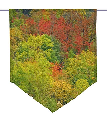 gardinen-for-life Scheibenhänger spitz früher Herbst, Voile Transparent, Edler Scheibenhänger aus Feiner Voile in Verschiedenen Größen (HxB 125x60cm) von gardinen-for-life