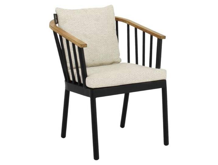 Apple Bee Condor Gartensessel Aluminium mit Sitz- und Rückenkissen Schwarz Apple Bee Condor Gartensessel Aluminium mit Sitz- und Rückenkissen Schwarz von garten&freizeit.de