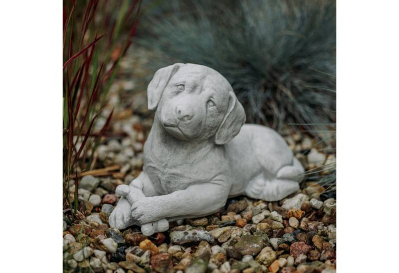gartendekoparadies.de Gartenfigur Hund Labrador Statue, Steinfigur, H. 24 cm, 12 kg, Frostsicher gartendekoparadies.de Gartenfigur Hund Labrador Statue, Steinfigur, H. 24 cm, 12 kg, Frostsicher von gartendekoparadies.de