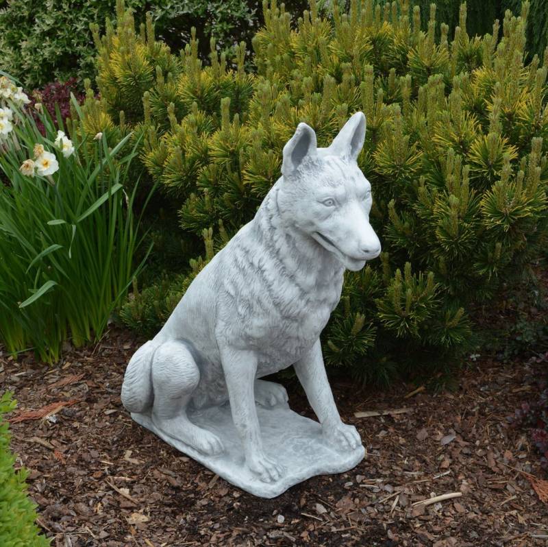 gartendekoparadies.de Gartenfigur Statue Hund Deutscher Schäferhund, Steinfigur, H. 70 cm, 60 kg, Frostsicher gartendekoparadies.de Gartenfigur Statue Hund Deutscher Schäferhund, Steinfigur, H. 70 cm, 60 kg, Frostsicher von gartendekoparadies.de