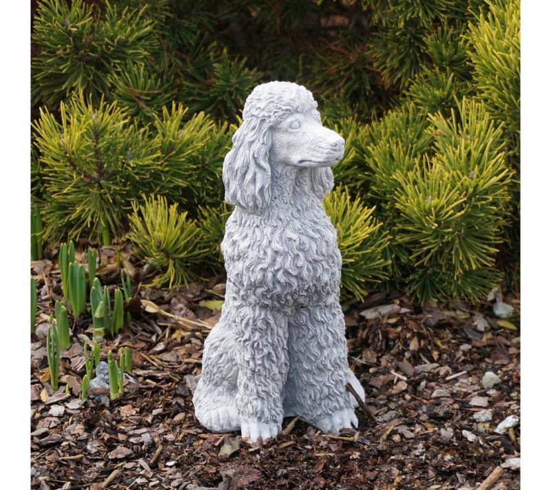 gartendekoparadies.de Gartenfigur Stolzer Pudel mit üppigen Locken, H. 28 cm, 4 kg, Frostsicher von gartendekoparadies.de
